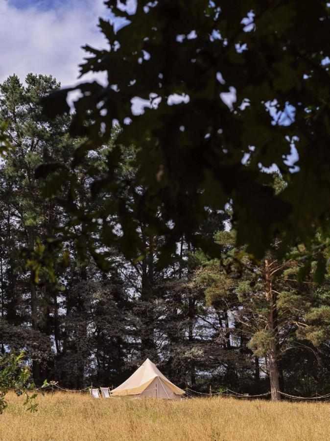 A Leira 116 Cabanas De Diseno 사리아루고 외부 사진